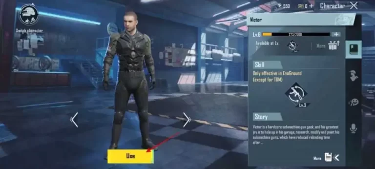 Click the Use button to equip the character